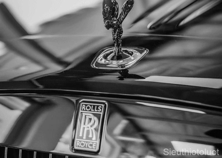 Logo của Rolls-Royce ấn tượng độc đáo với vẻ đẹp sang trọng.