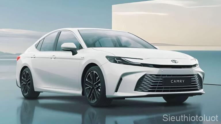 Các dòng xe sedan hạng D.